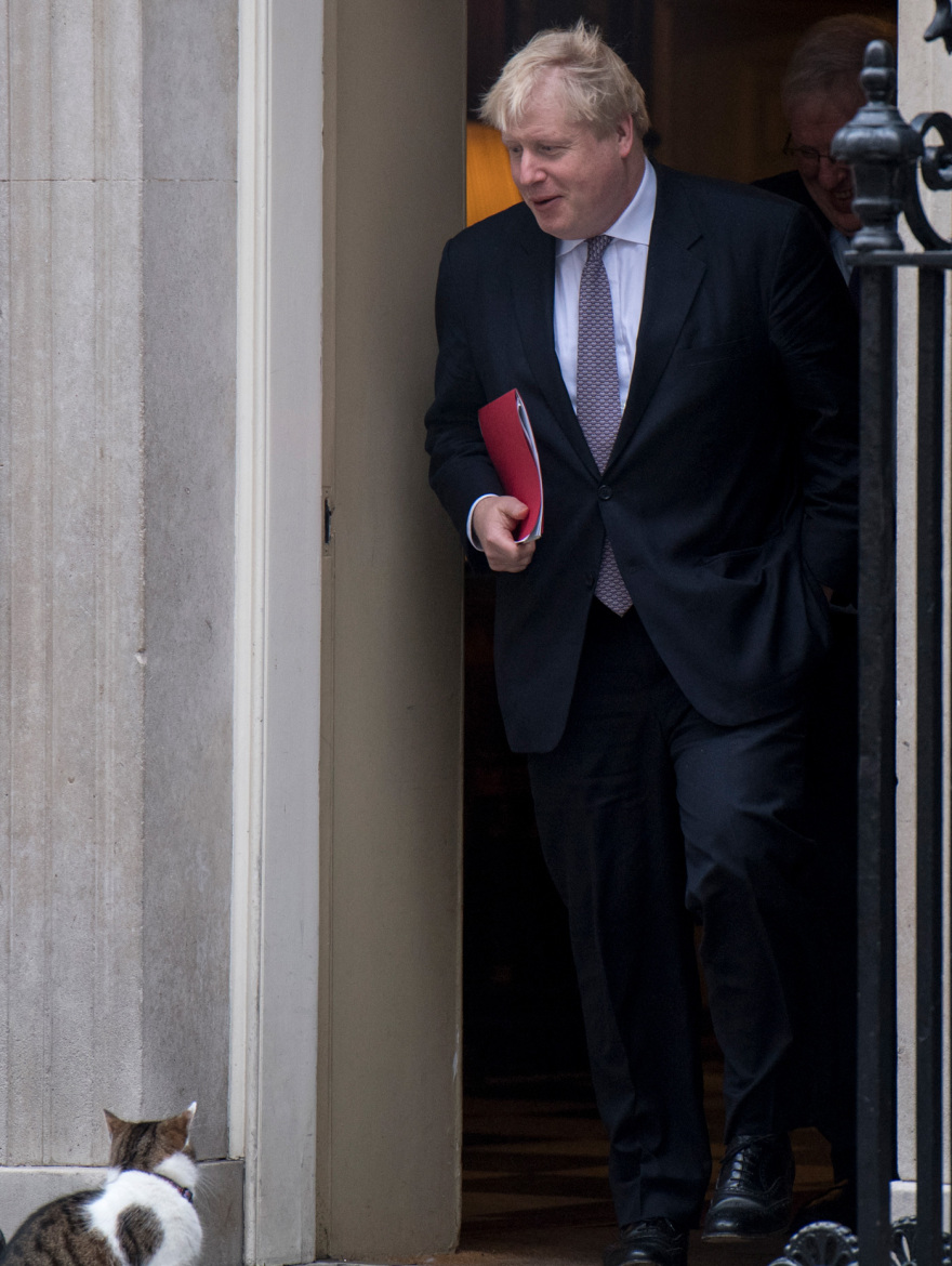 Λάρι, ο γάτος της Ντάουνινγκ Στριτ: Ο αθόρυβος «βετεράνος» που επιβίωσε έξι πρωθυπουργών και μιας δεκαετίας πολιτικών αναταράξεων
