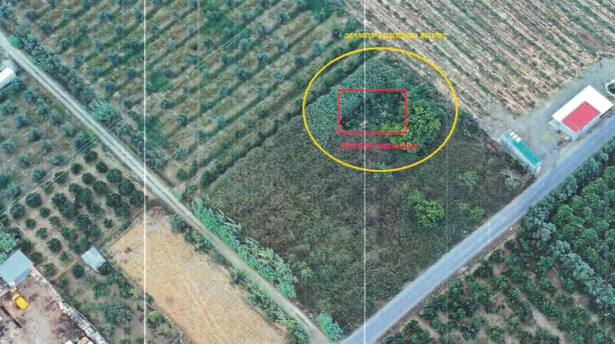Ισοβίτης καλλιεργούσε κάνναβη δίπλα στις φυλακές Χανίων: Είχε πυροβολήσει με Καλάσνικοφ τρεις αστυνομικούς στις Μαλάδες το 2008