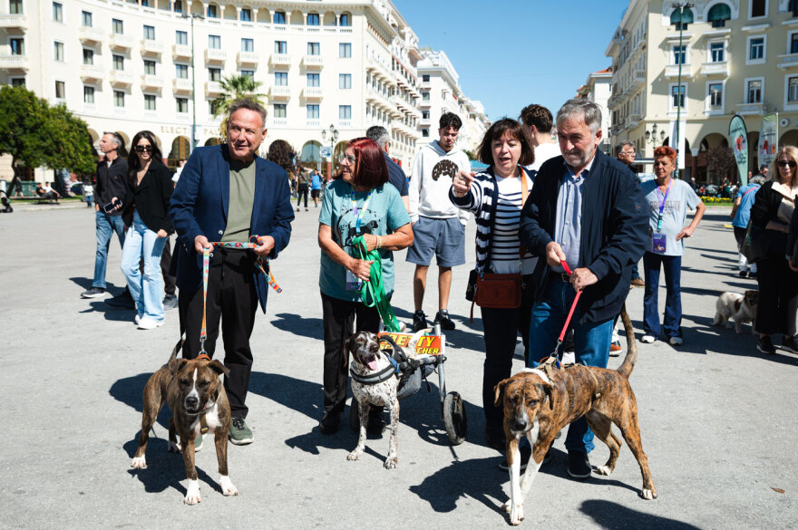 Πλήθος κόσμου στο A Day With My Pet του petmou.gr σε Αθήνα, Θεσσαλονίκη και Πάτρα - Δείτε φωτογραφίες 