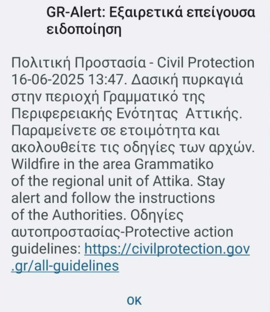 Μεγάλη φωτιά στο Άνω Σούλι Μαραθώνα, ενισχύονται διαρκώς οι πυροσβεστικές δυνάμεις - Μήνυμα από το 112 για εκκένωση προς Γραμματικό και Νέα Μάκρη