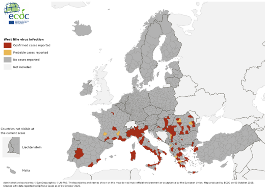 Συναγερμός στην Ευρώπη για το κουνούπι «Τίγρης της Ασίας»: Tα κρούσματα τσικουνγκούνια και δάγκειου πυρετού ξεπέρασαν αυτά του Δυτικού Νείλου