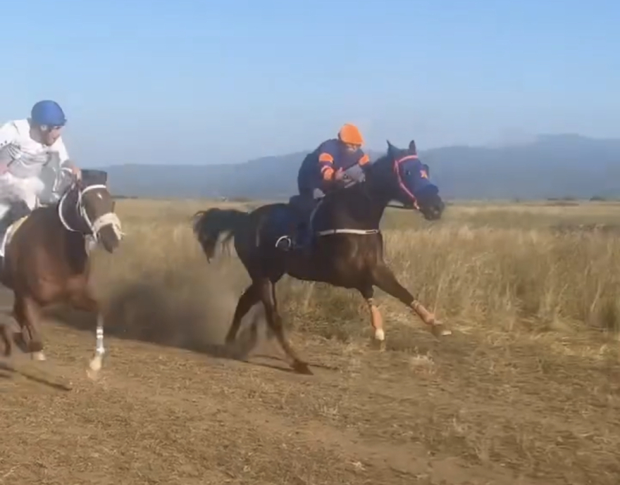 Λέσβος: Στην Εισαγγελία οι ιπποδρομίες σε περιοχή Natura στην Καλλονή