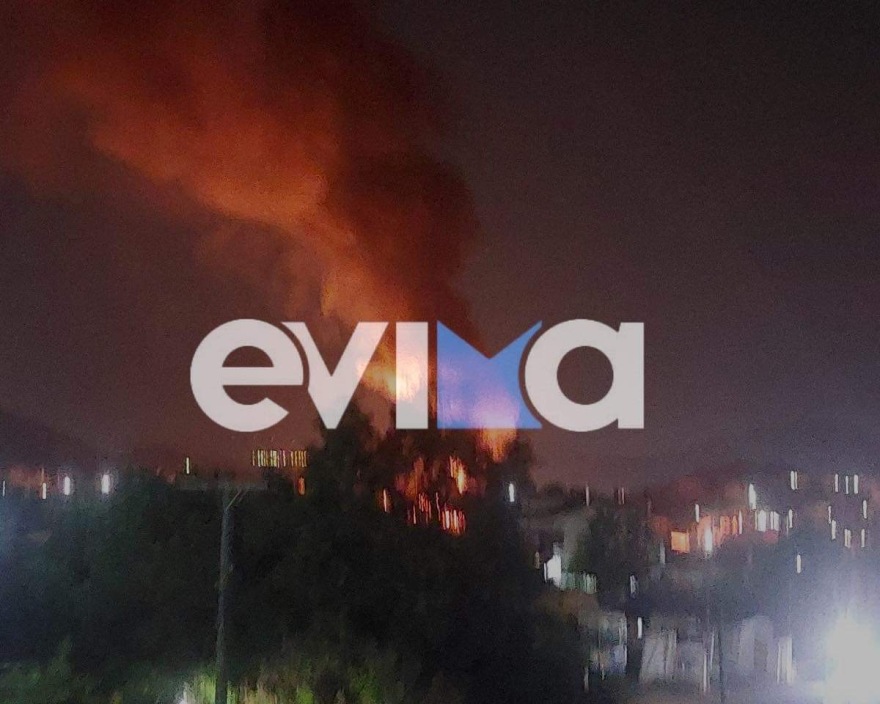 Χαλκίδα: Φωτιά στον οικισμό Χαραυγή δίπλα σε σπίτια