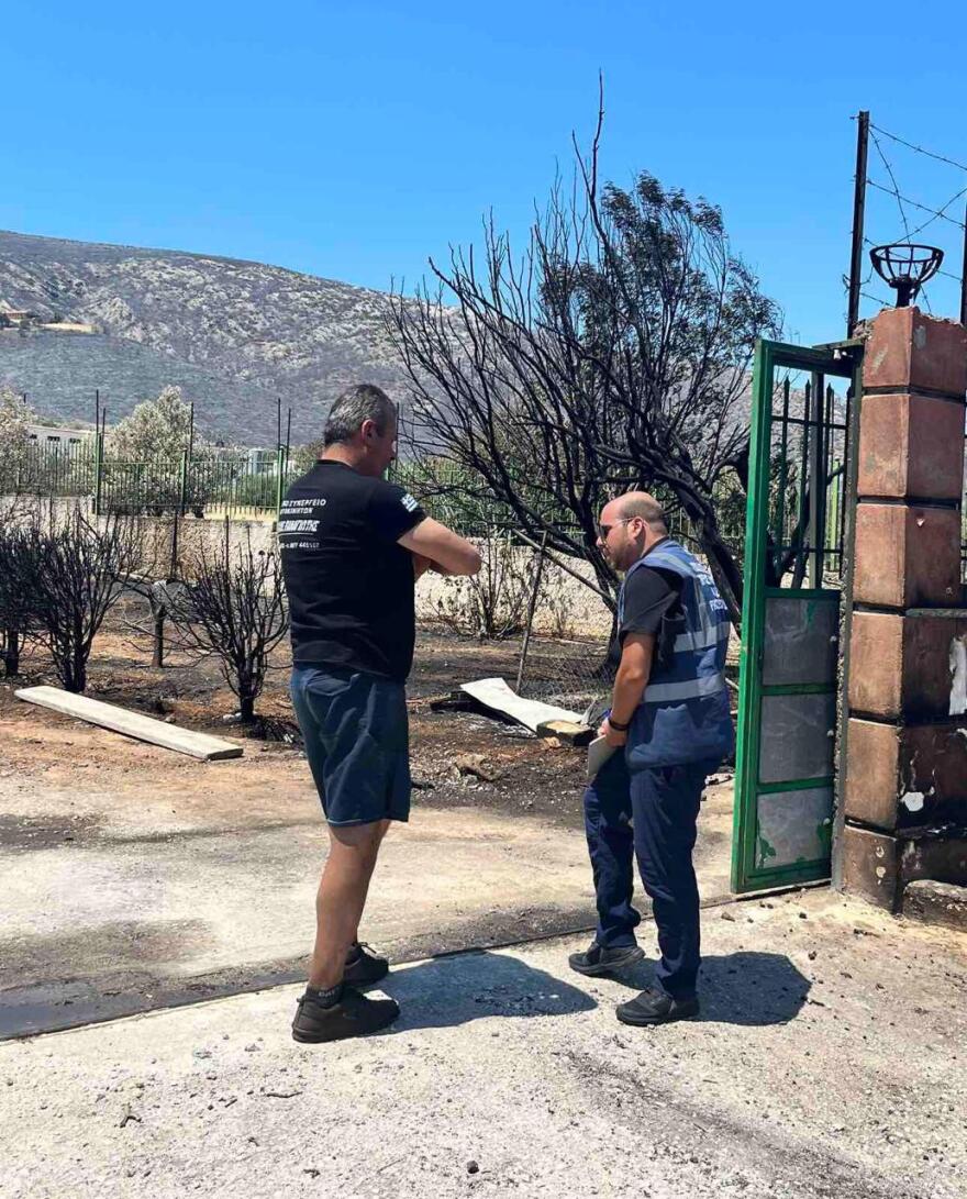 Φωτιές - Δήμος Σαρωνικού: Ξεκίνησαν οι αυτοψίες στα καμένα της Σαρωνίδας - Δείτε φωτογραφίες