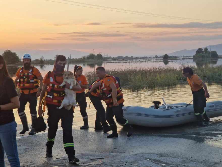 Επίλεκτες ομάδες βοηθούν στις πληγείσες περιοχές μετά την κακοκαιρία «Daniel» - Δείτε φωτογραφίες