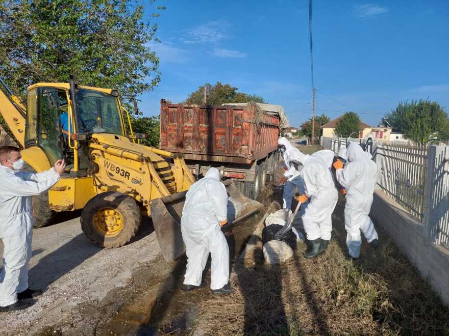 Αγώνας δρόμου από τα ειδικά κλιμάκια για την αποκομιδή των νεκρών ζώων - Δείτε φωτογραφίες