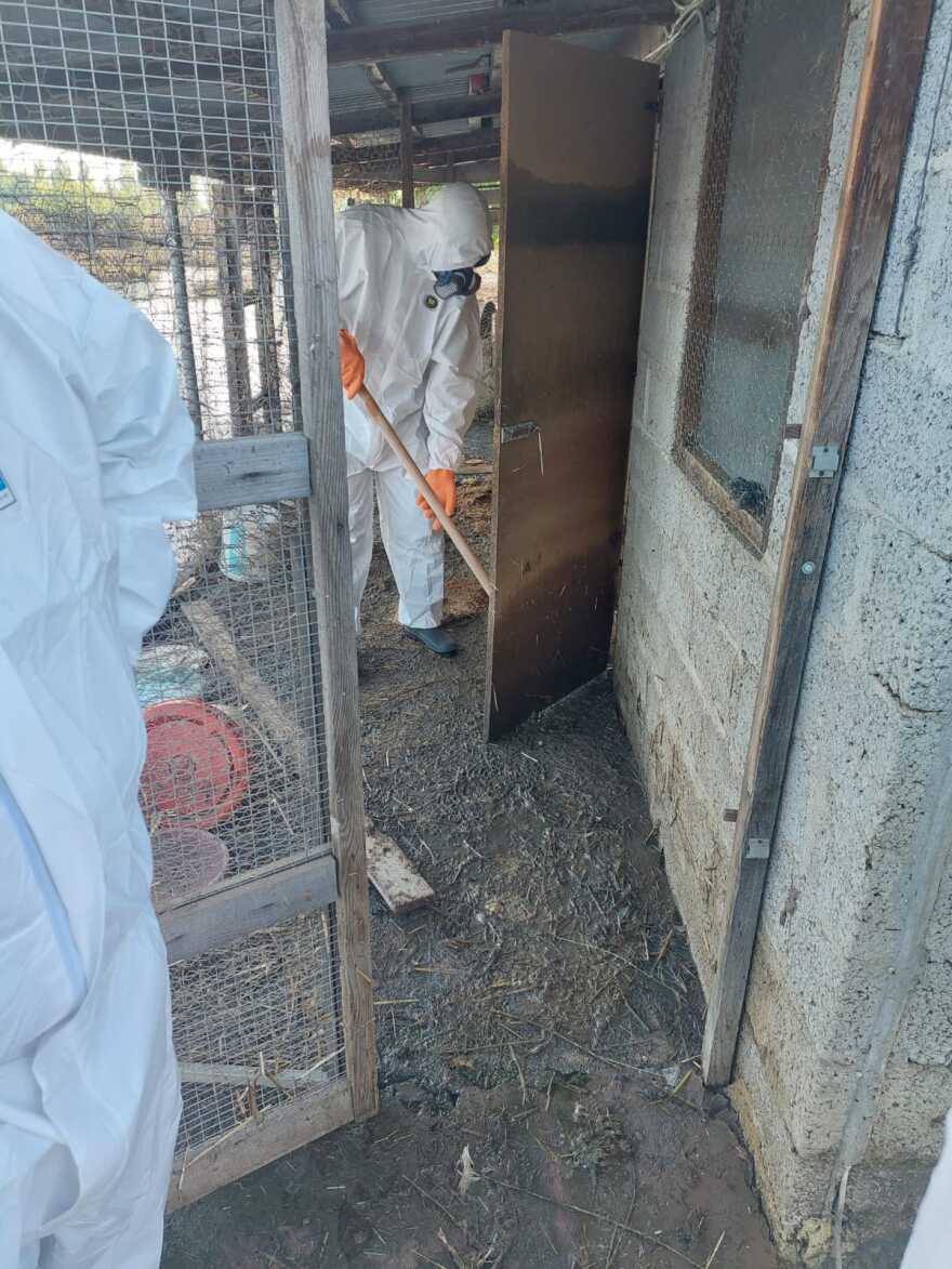 Αγώνας δρόμου από τα ειδικά κλιμάκια για την αποκομιδή των νεκρών ζώων - Δείτε φωτογραφίες