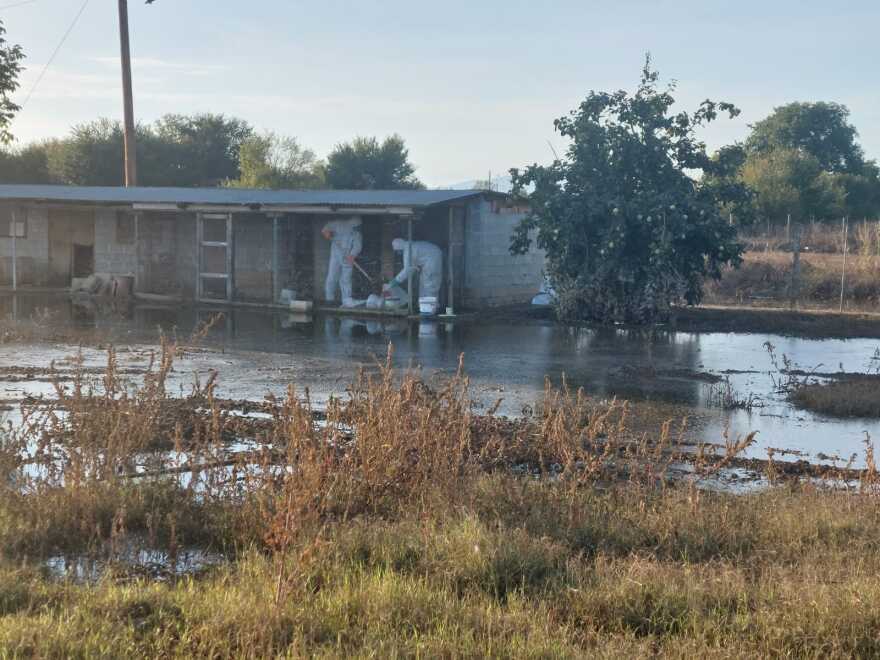 Αγώνας δρόμου από τα ειδικά κλιμάκια για την αποκομιδή των νεκρών ζώων - Δείτε φωτογραφίες