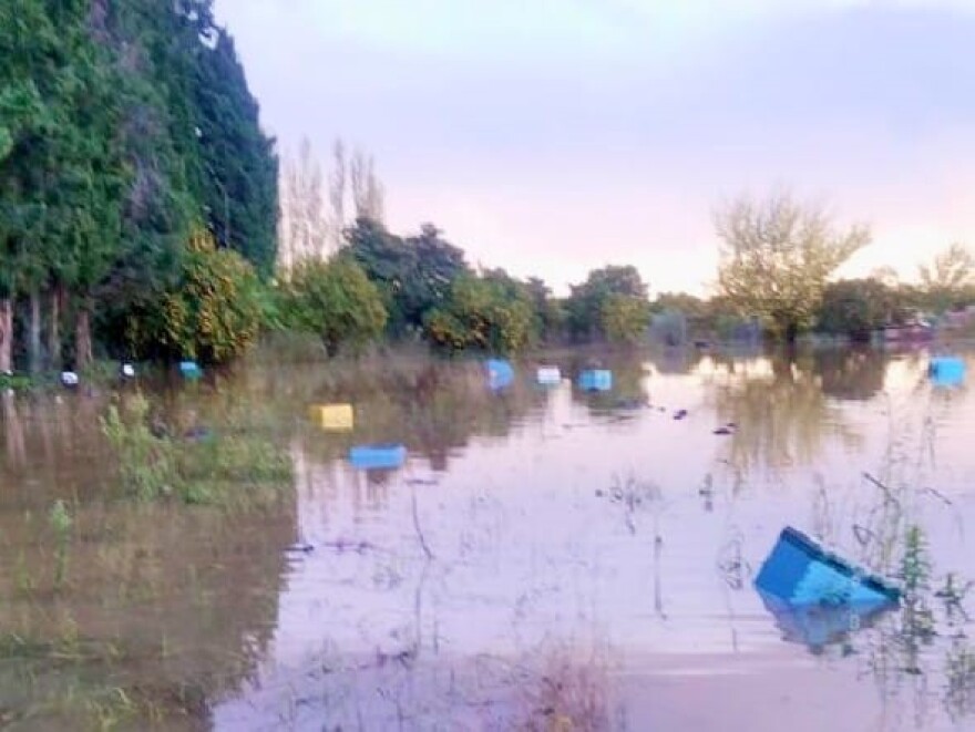 Κακοκαιρία «Daniel» - Θεσσαλία: Τεράστιες ζημιές στη μελισσοκομία - Τουλάχιστον 45.000 μελίσσια έχουν καταστραφεί