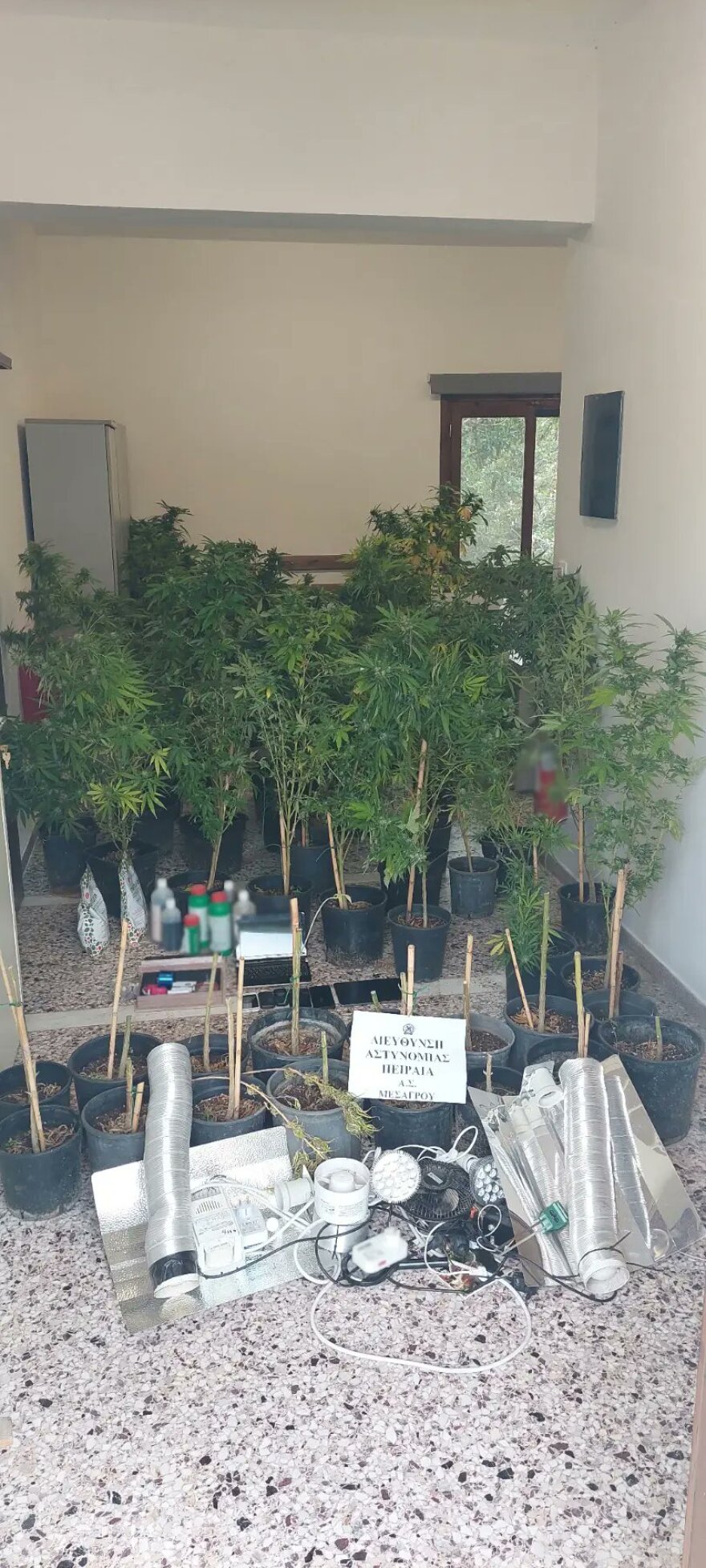 Αίγινα: Συνελήφθη 40χρονος που είχε κάνει το σπίτι του «θερμοκήπιο» κάνναβης - Δείτε φωτογραφίες