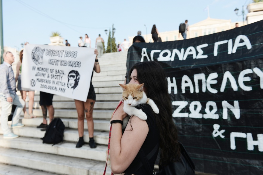 Παγκόσμια Ημέρα Ζώων - Σύνταγμα: Ακτιβιστές διαδηλώνουν για τα δικαιώματα των ζώων (φωτογραφίες)