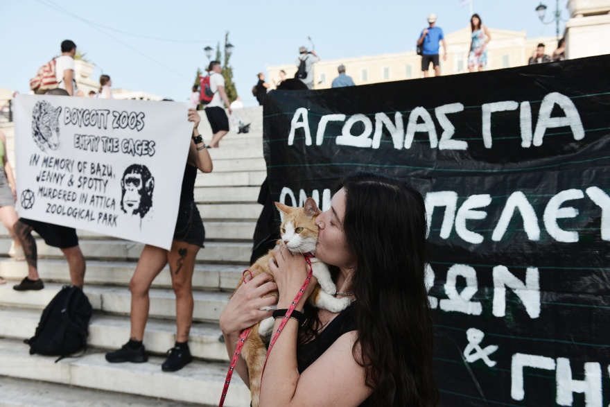Παγκόσμια Ημέρα Ζώων - Σύνταγμα: Ακτιβιστές διαδηλώνουν για τα δικαιώματα των ζώων (φωτογραφίες)