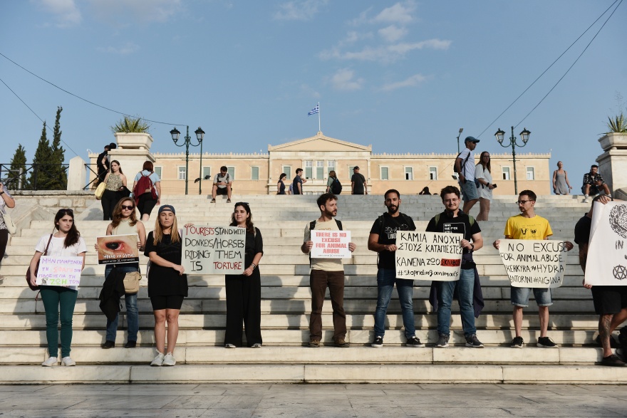 Παγκόσμια Ημέρα Ζώων - Σύνταγμα: Ακτιβιστές διαδηλώνουν για τα δικαιώματα των ζώων (φωτογραφίες)