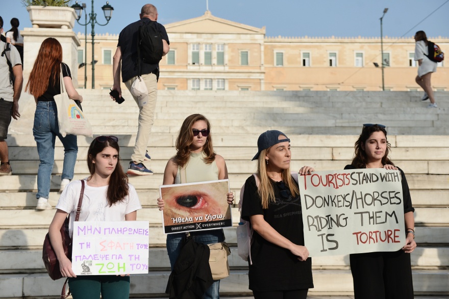 Παγκόσμια Ημέρα Ζώων - Σύνταγμα: Ακτιβιστές διαδηλώνουν για τα δικαιώματα των ζώων (φωτογραφίες)