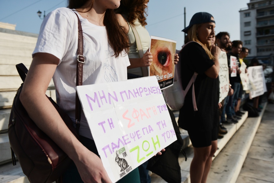 Παγκόσμια Ημέρα Ζώων - Σύνταγμα: Ακτιβιστές διαδηλώνουν για τα δικαιώματα των ζώων (φωτογραφίες)