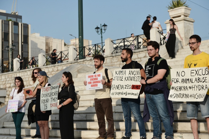 Παγκόσμια Ημέρα Ζώων - Σύνταγμα: Ακτιβιστές διαδηλώνουν για τα δικαιώματα των ζώων (φωτογραφίες)