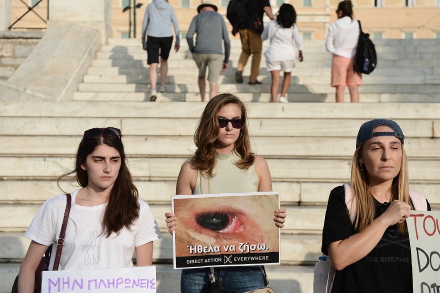 Παγκόσμια Ημέρα Ζώων - Σύνταγμα: Ακτιβιστές διαδηλώνουν για τα δικαιώματα των ζώων (φωτογραφίες)