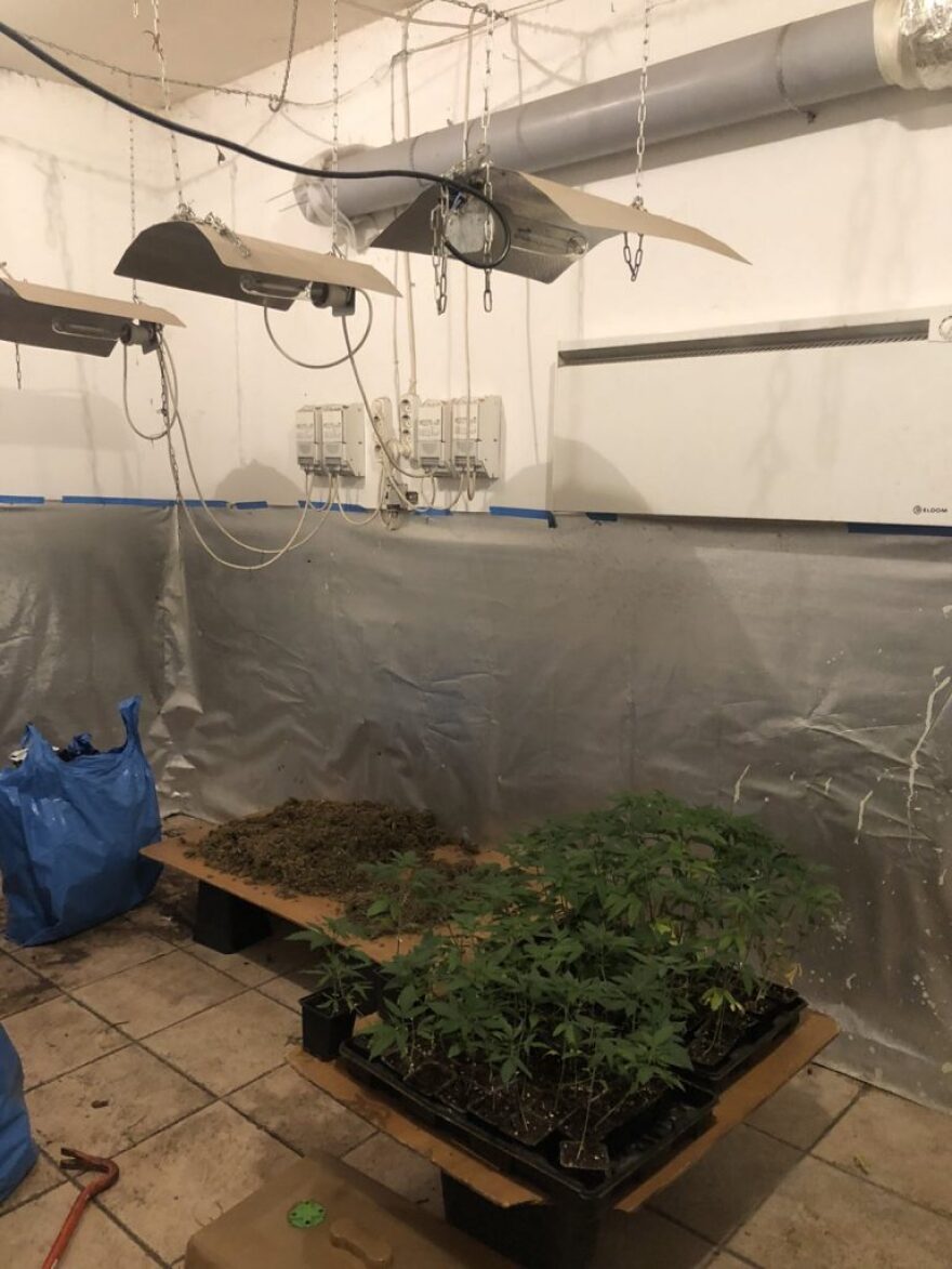 59χρονος και 60χρονος θα διακινούσαν 25 κιλά κάνναβης και 2.980 φιαλίδια αναβολικών