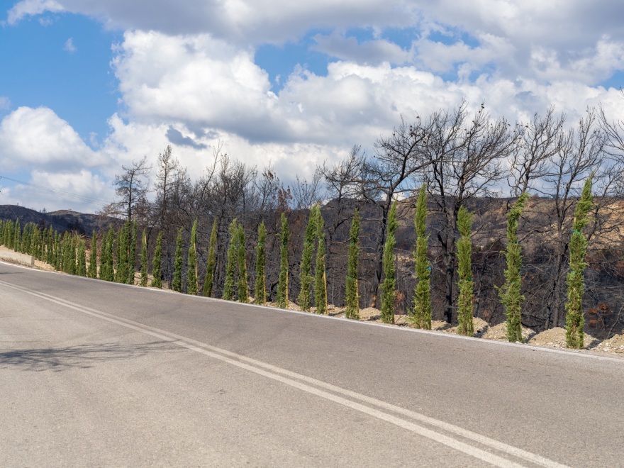 Η Alpha Bank αρωγός στην προστασία του Περιβάλλοντος