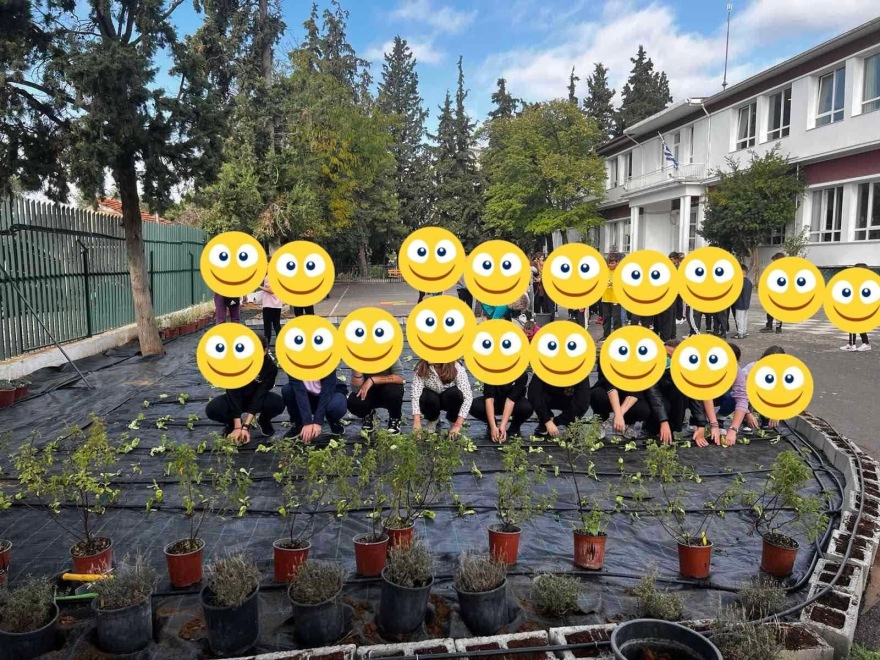 Θεσσαλονίκη: Μαθητές δημοτικού καλλιεργούν λαχανικά και αρωματικά φυτά σε λαχανόκηπο 300 τ.μ. στο σχολείο τους