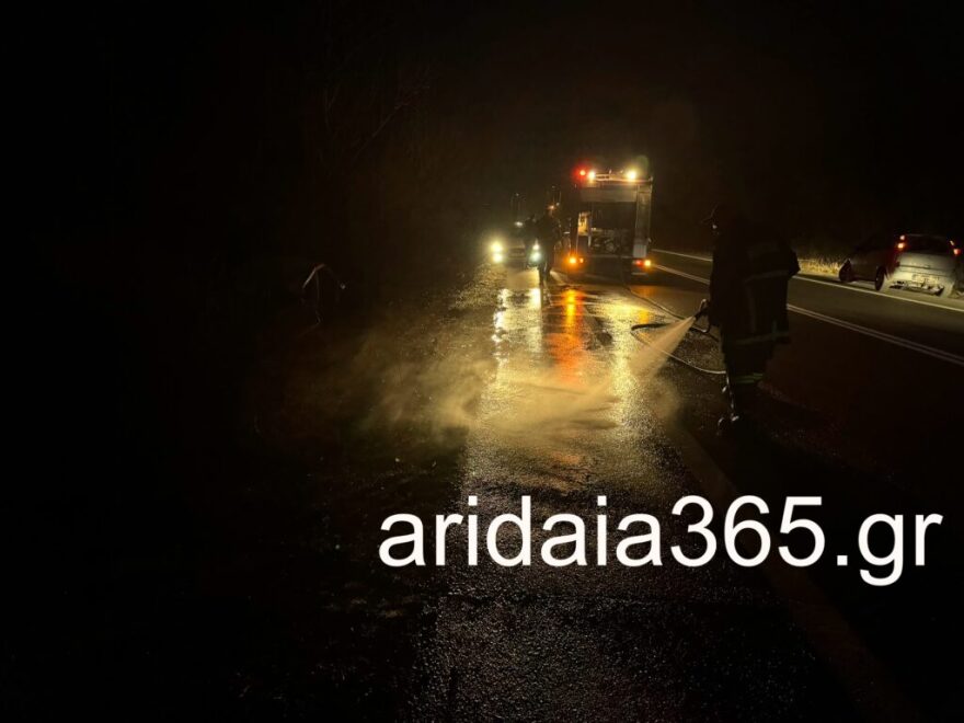 Πέλλα: Τροχαίο με τρεις τραυματίες - Αυτοκίνητο κόπηκε στα δύο, φωτογραφίες 