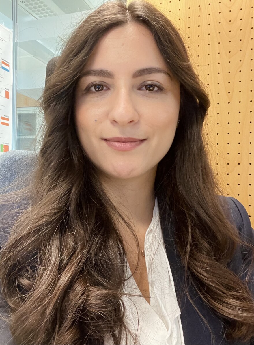 ΣΥΡΙΖΑ: Το νέο think tank Εργασίας του κόμματος - Ένας Άδωνις στην… Κουμουνδούρου 