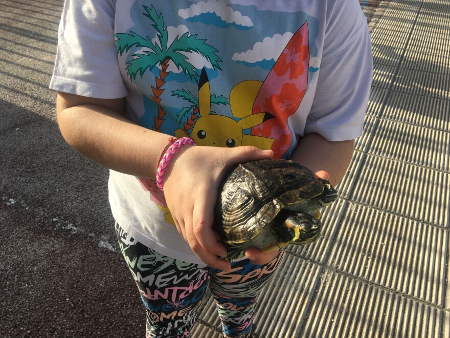 Κρήτη: Μαθητές δημοτικού πήγαν με τα κατοικίδιά τους στο σχολείο	