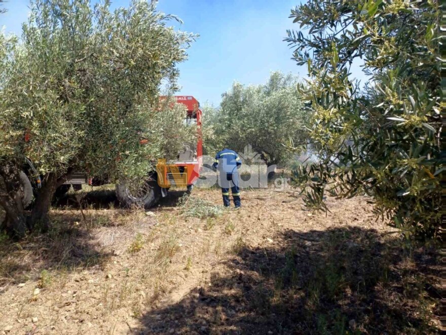 Υπό μερικό έλεγχο η φωτιά στον Αλίαρτο Βοιωτίας