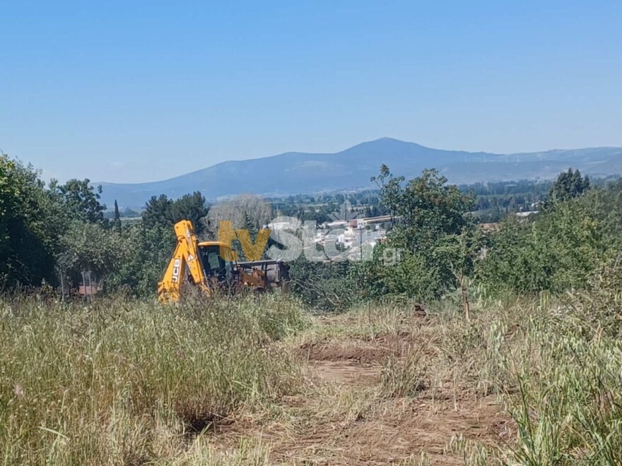 Υπό μερικό έλεγχο η φωτιά στον Αλίαρτο Βοιωτίας