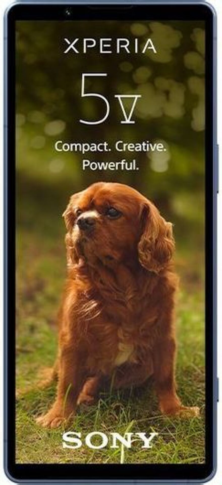 Sony Xperia 1 VI: Όσα διέρρευσαν για τις νέες προδιαγραφές