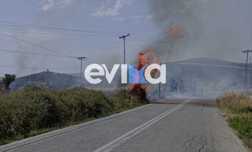 Φωτιά στα Λέπουρα Ευβοίας κοντά σε σπίτια