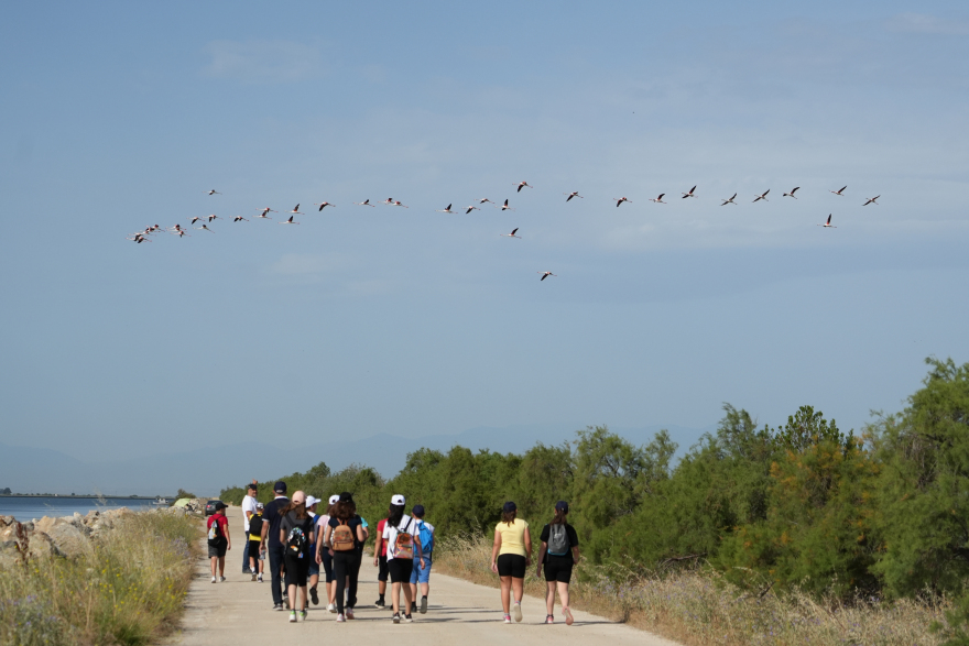 Τα παιδιά μαθαίνουν πώς οι μέλισσες βοηθούν το περιβάλλον