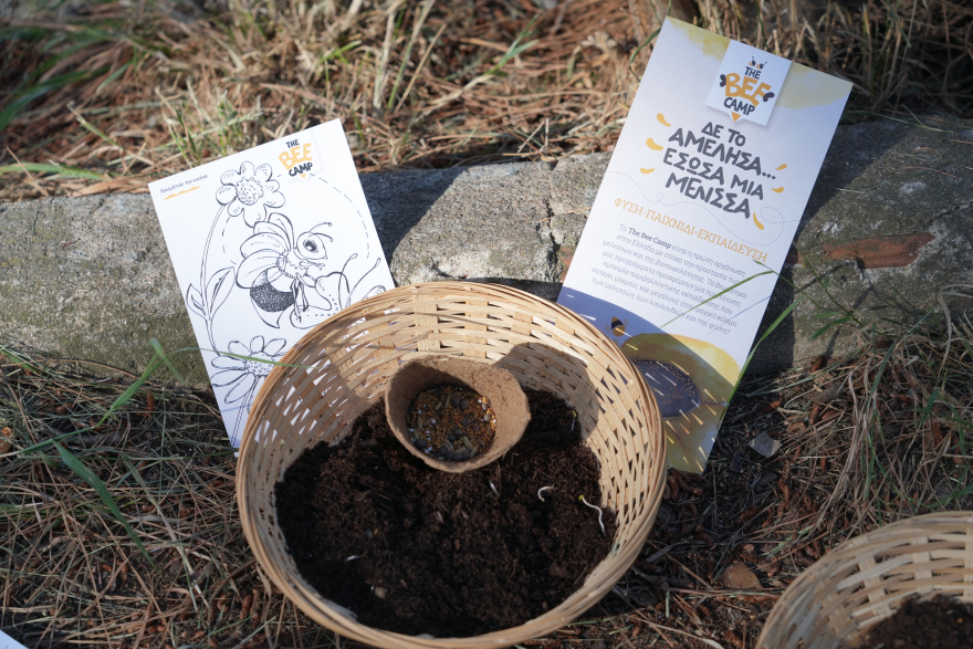 Τα παιδιά μαθαίνουν πώς οι μέλισσες βοηθούν το περιβάλλον