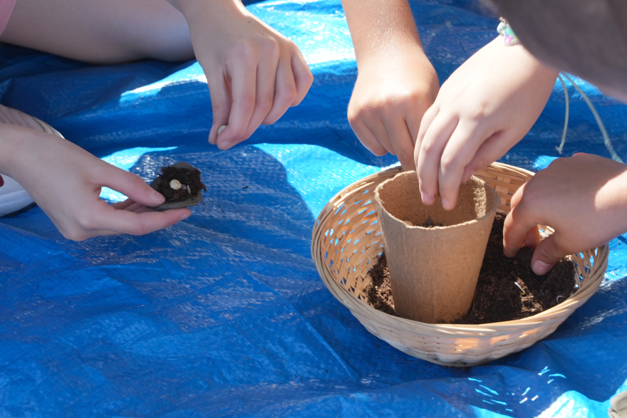 Τα παιδιά μαθαίνουν πώς οι μέλισσες βοηθούν το περιβάλλον