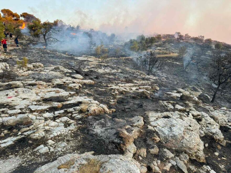 Φωτιά στην Τερψιθέα Γλυφάδας: Θέμα χρόνου η σύλληψη των δύο εμπρηστών λέει ο δήμαρχος
