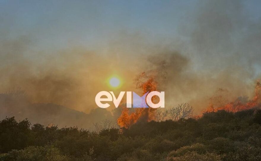 Φωτιά στη νότια Εύβοια στο χωριό Τσακαίοι