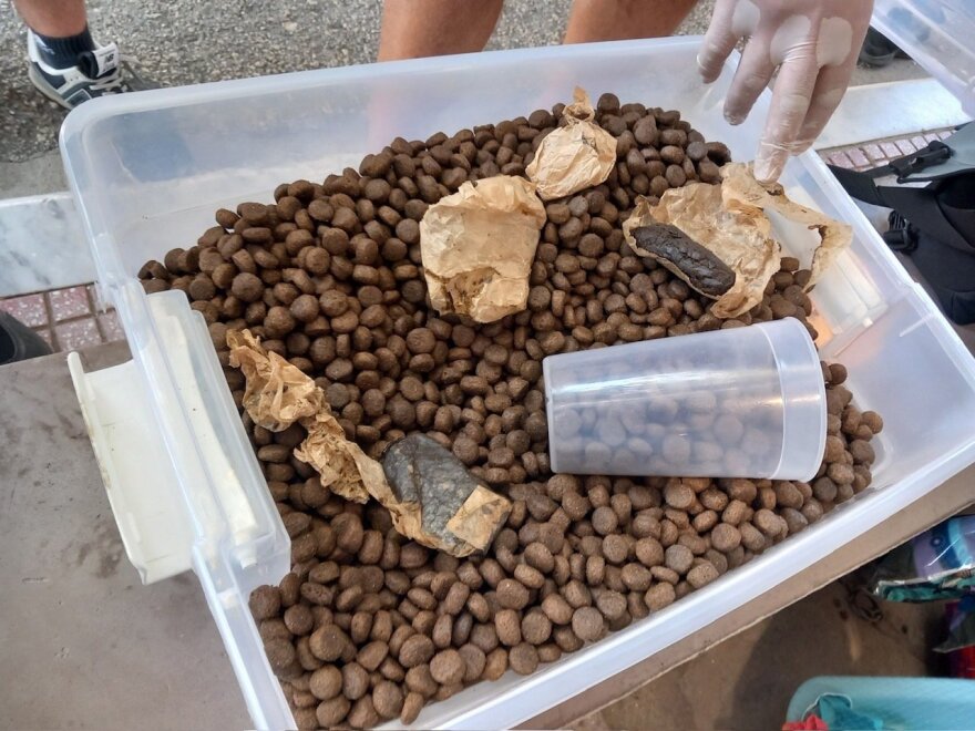 Σαμοθράκη: Δύο συλλήψεις 34χρονου και 23χρονου για ναρκωτικά