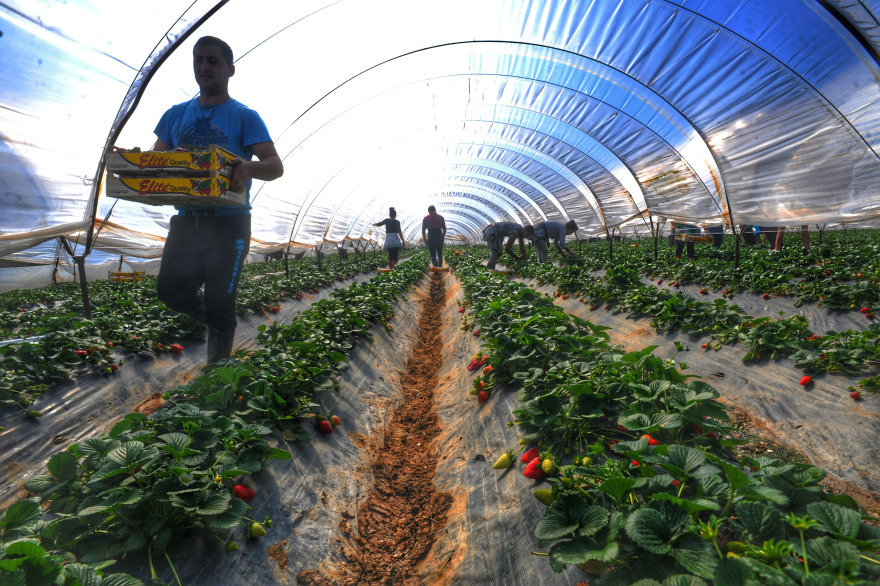  New bill - only with agricultural and student visa accepted immigrants