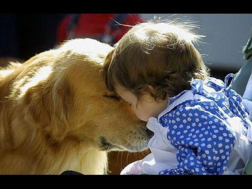 Κατοικίδια: Η ανιδιοτελής αγάπη τους, «σύμμαχος» της ψυχικής ευεξίας