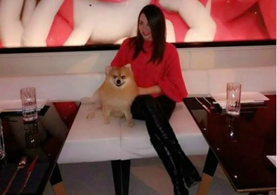 Κατοικίδια: Η ανιδιοτελής αγάπη τους, «σύμμαχος» της ψυχικής ευεξίας