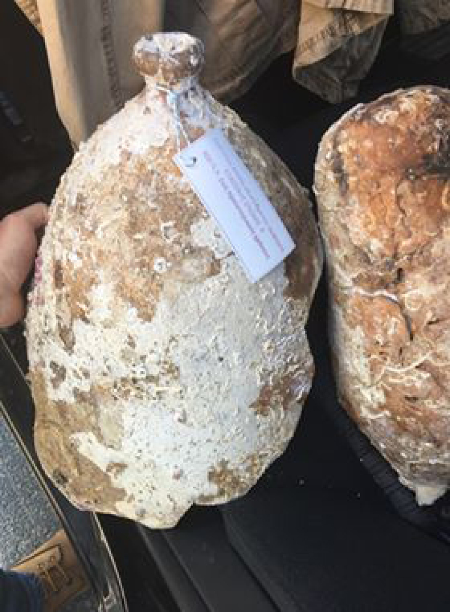 Συνελήφθη Γερμανός αρχαιοκάπηλος: Βρέθηκαν δεκάδες αντικείμενα στη βίλα του