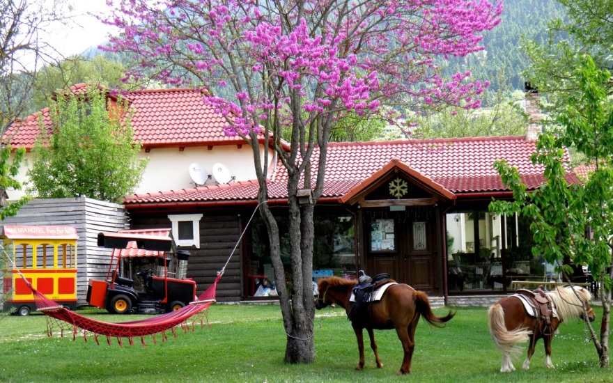 Ninemia Stay and Play: Ο παράδεισος των οικογενειακών διακοπών