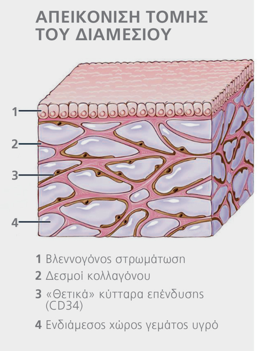 «Πώς ανακαλύψαμε το αόρατο όργανο  του σώματος και φιλοδοξούμε να νικήσουμε τον καρκίνο»