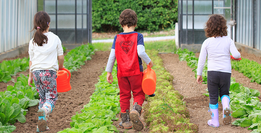 Βιωματικές εμπειρίες στο αγρόκτημα και …STEM από το δημοτικό