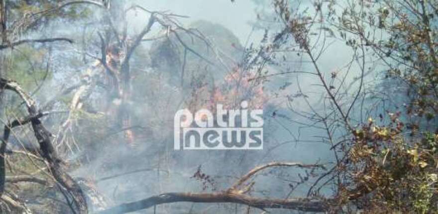 Βίντεο: Ανεξέλεγκτη η φωτιά στην Ηλεία - Στη Σκιλλουντία οι φλόγες έφτασαν στα σπίτια 