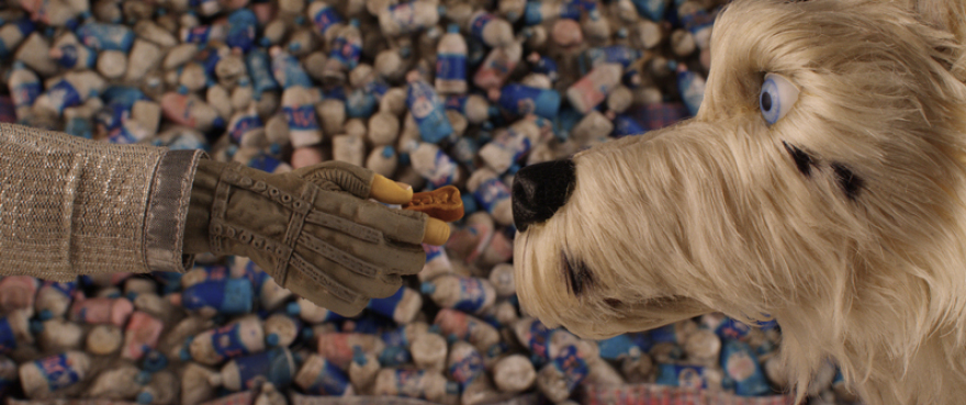 Κυνόδοντας αλά Γουές Άντερσον