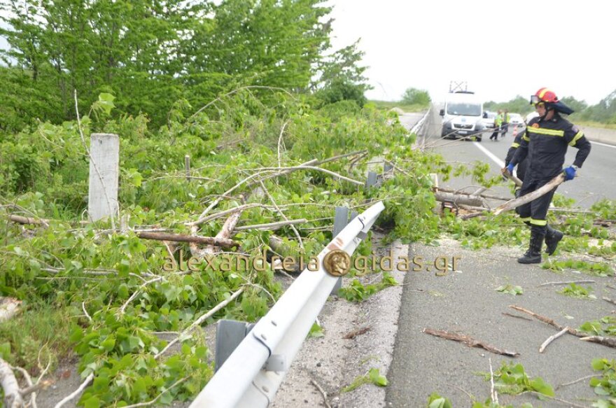Τραγωδία στην Εγνατία Οδό: Νεκρός άνδρας από πτώση δέντρου
