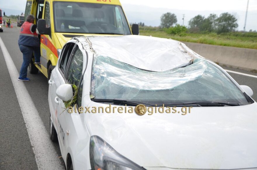 Τραγωδία στην Εγνατία Οδό: Νεκρός άνδρας από πτώση δέντρου