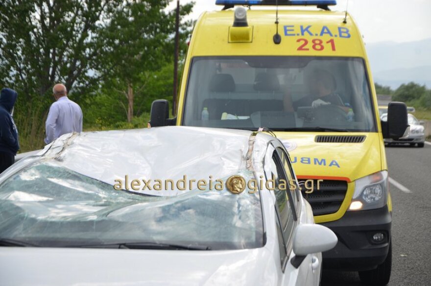 Τραγωδία στην Εγνατία Οδό: Νεκρός άνδρας από πτώση δέντρου