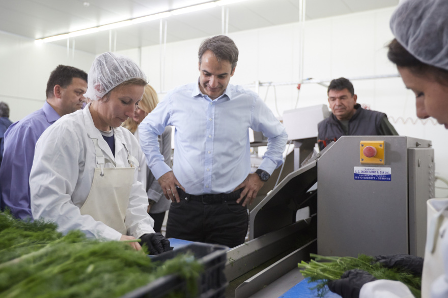 Μητσοτάκης: Δέσμευση της ΝΔ να στηρίξει την επιχειρηματικότητα ειδικά στον πρωτογενή τομέα